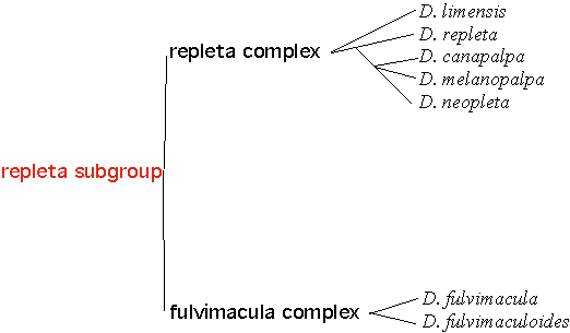 repletasubgroup